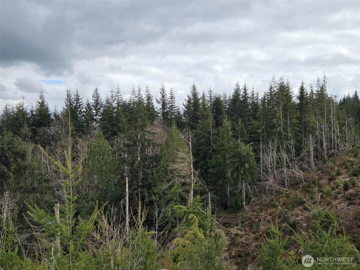 Property Photo:  0 Off Of  Hoquiam Wishkah Road  WA 98550 