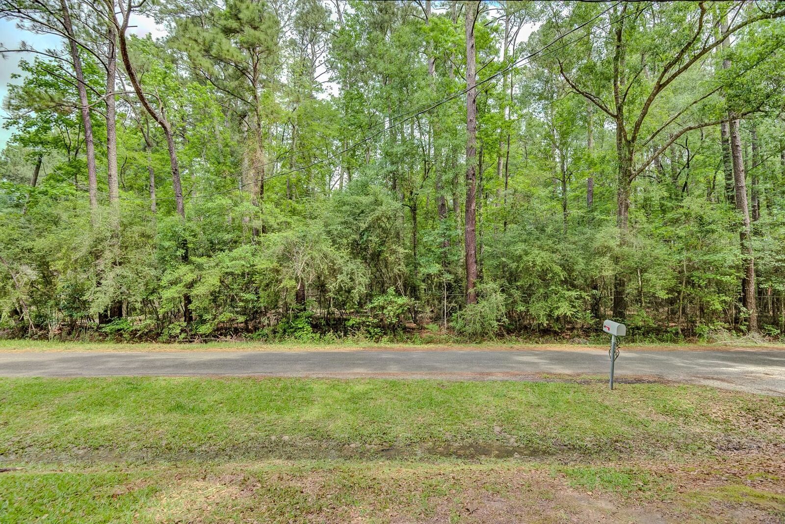 Property Photo: 129 Marilyn Street TX 77657