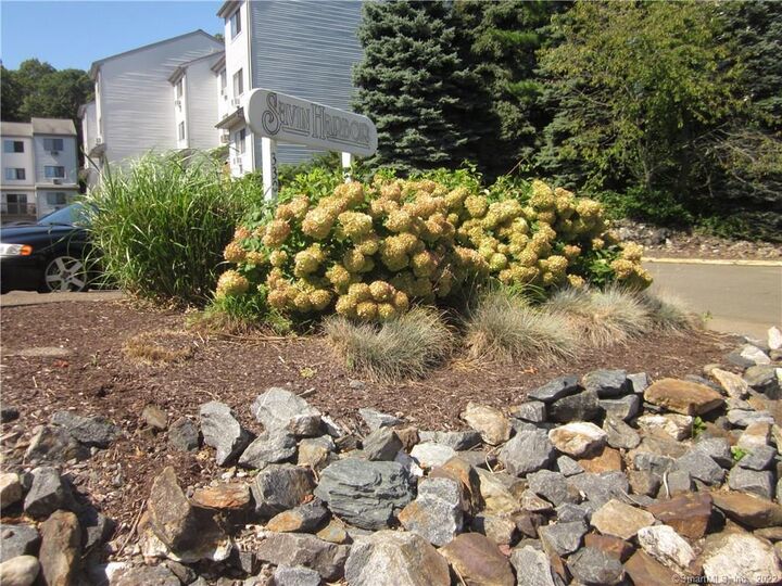 Property Photo:  330 Savin Avenue 18  CT 06516 