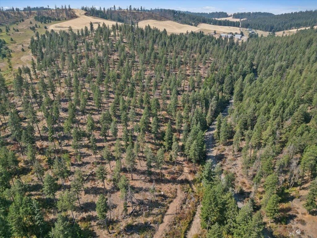 Property Photo:  Nka W Ballard Rd Lot 2-A  WA 99208 