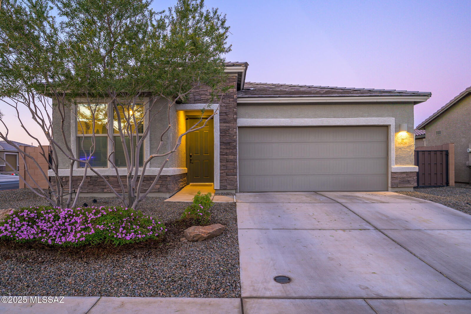 Property Photo:  10928 W Pleasant View Drive  AZ 85653 