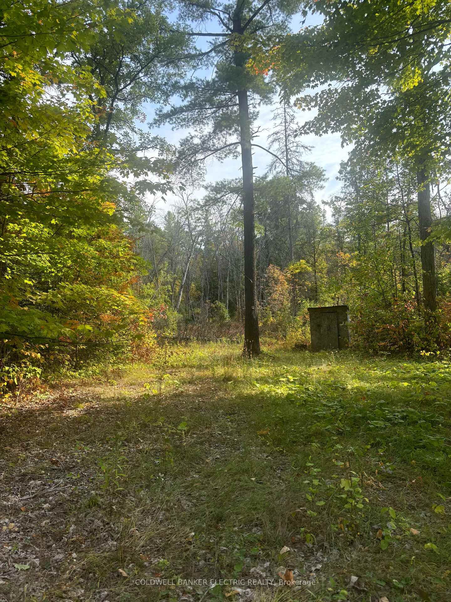 Photo de la propriété:  0 Pineview Court  ON K0K 2M0 