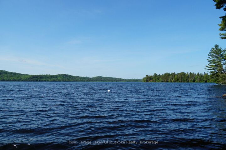 Property Photo: 1173 Highway 60 N/A ON P1H 2G9