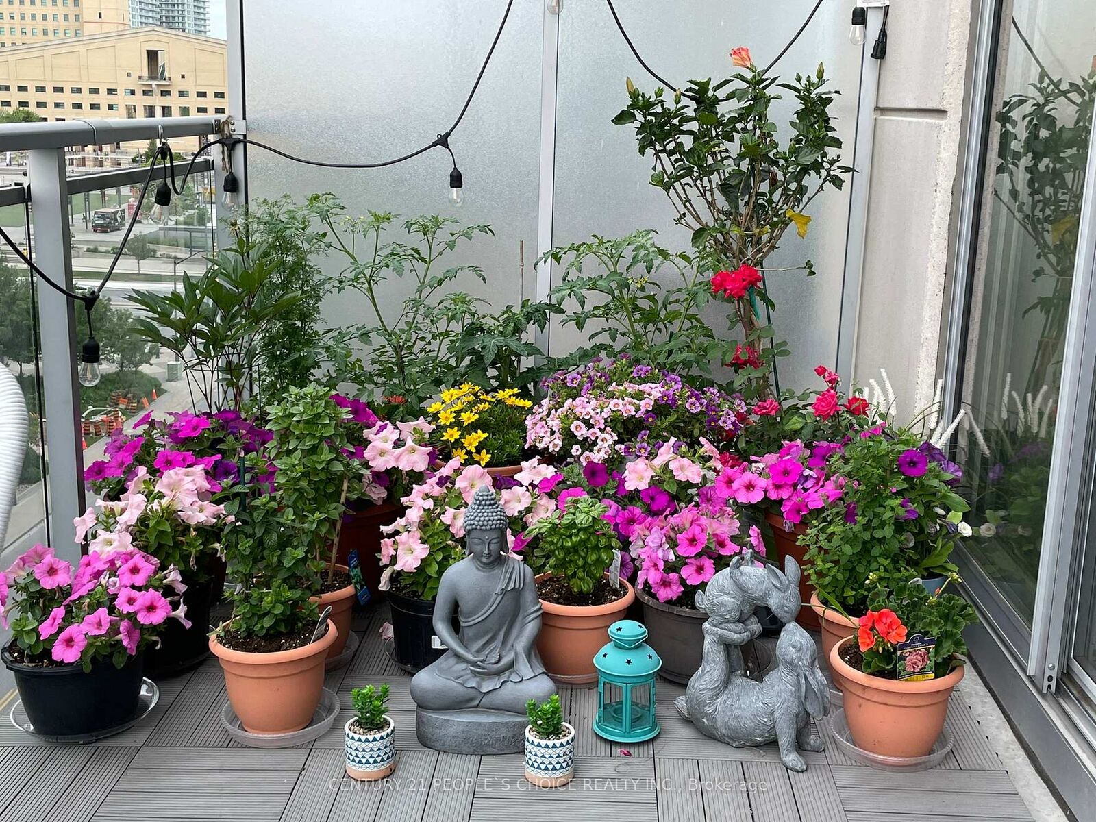 Property Photo: 225 Webb Drive 703 ON L5B 4P2