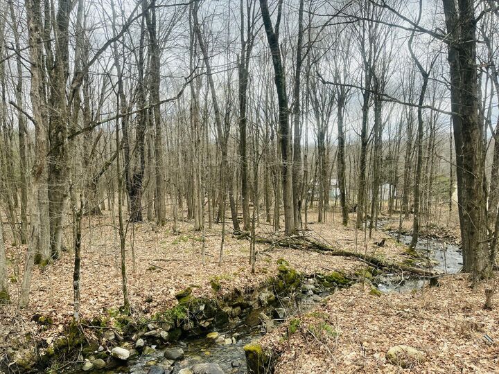 Property Photo:  000 Sam Cook Road  NY 12920 