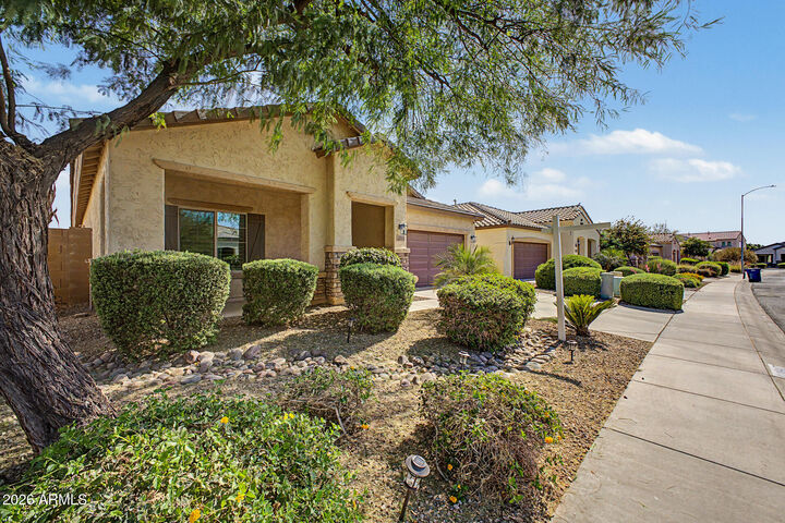 Property Photo:  10847 E Thatcher Avenue  AZ 85212 
