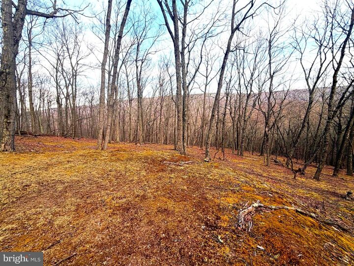 Property Photo: Lot 5 Preserve Road WV 26743
