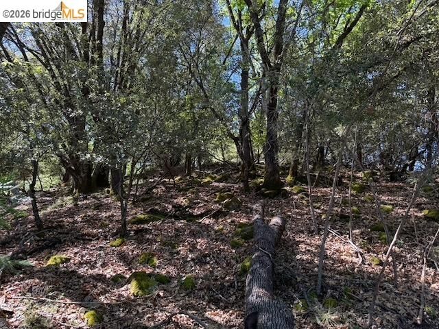 Property Photo:  21344 Green Meadow Ln  CA 95370 