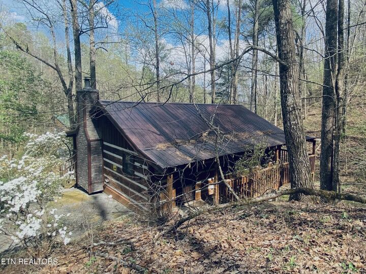 Property Photo:  2601 Black Bear Lane  TN 37876 