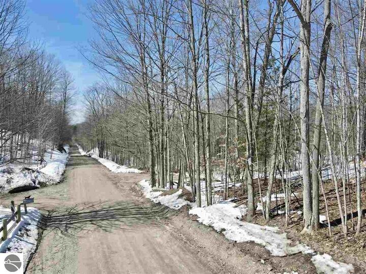 Property Photo: Tbd Pesek Road MI 49727
