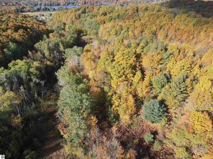 Property Photo:  Tbd Pesek Road  MI 49727 