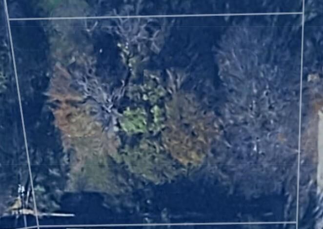 Photo de la propriété:  249 Wildwind Street  TX 75156 