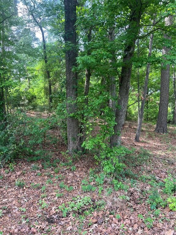 Property Photo:  5417 Briarcliff Circle  LA 71109 