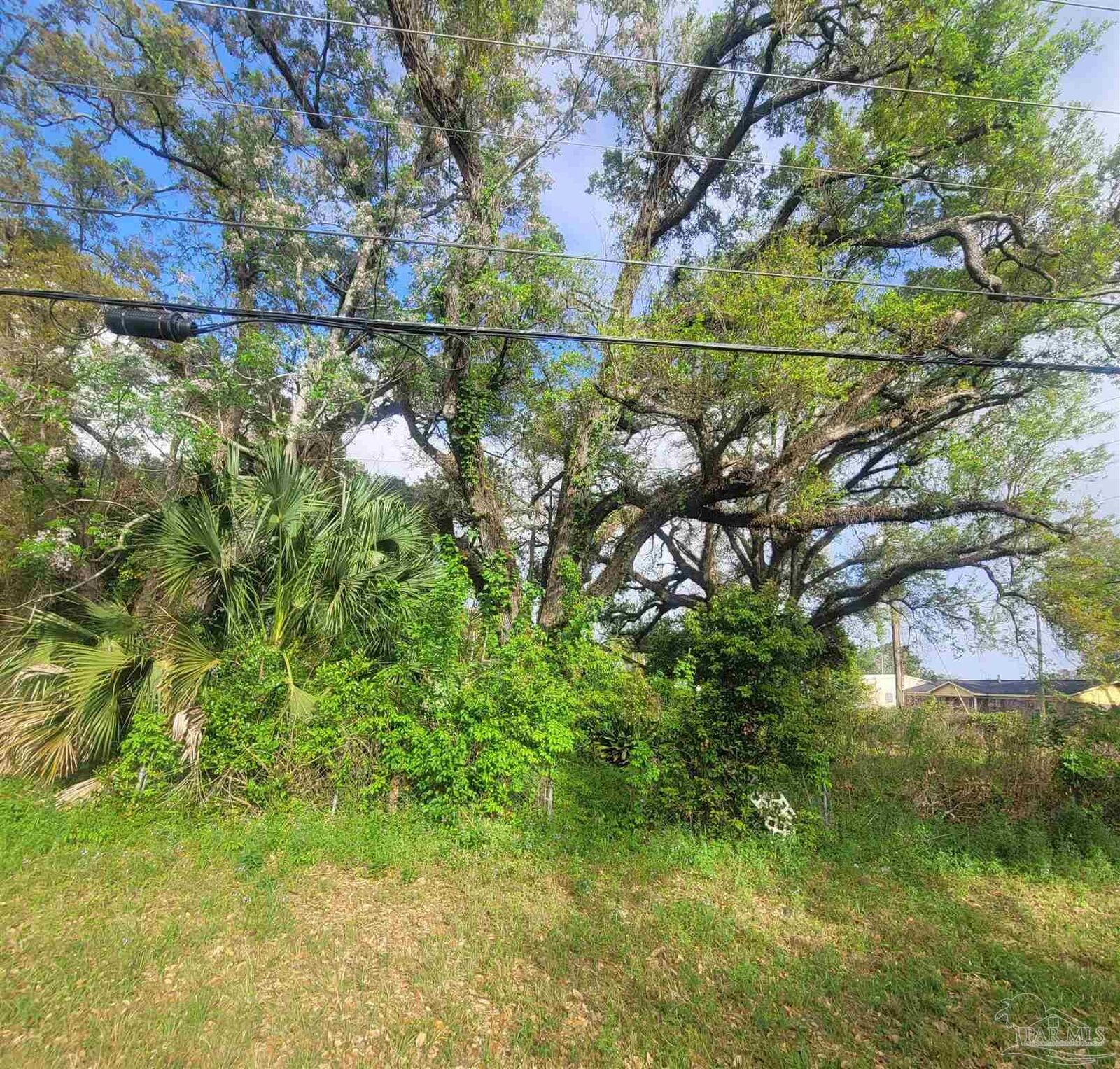 Property Photo:  1500 N P St  FL 32505 