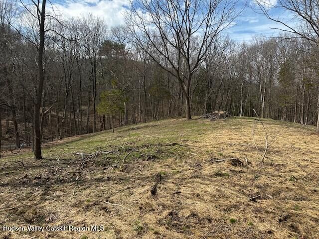 Property Photo: Lot 3 High Falls NY 12414
