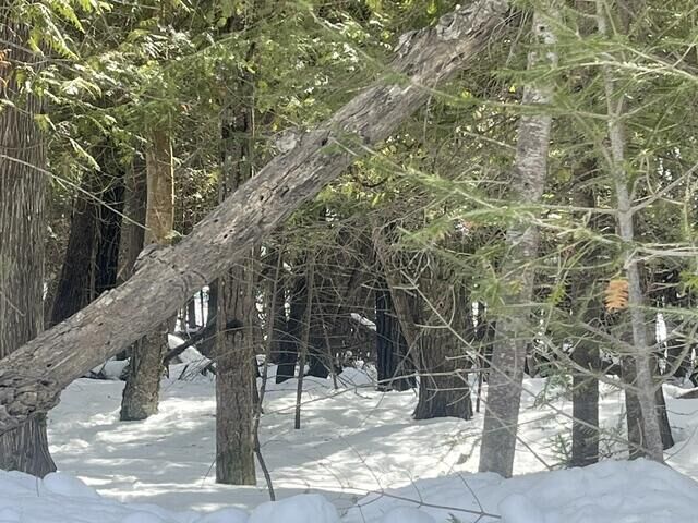 Property Photo:  1.24 Ac E Huron Drive  MI 49775 