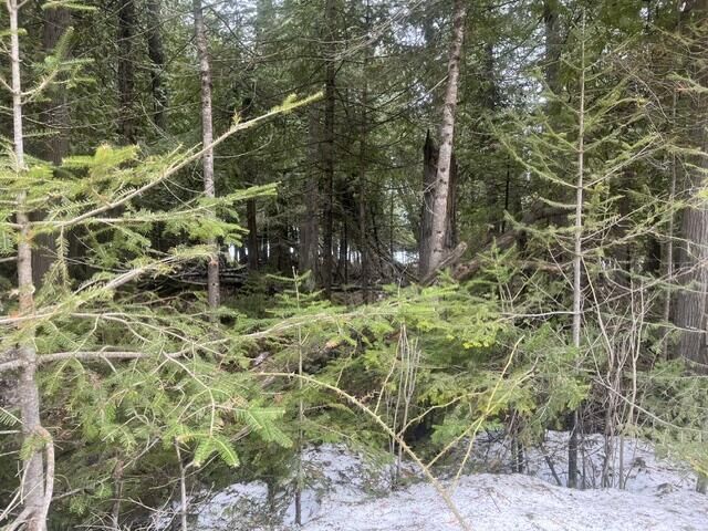 Property Photo:  1.24 Ac E Huron Drive  MI 49775 