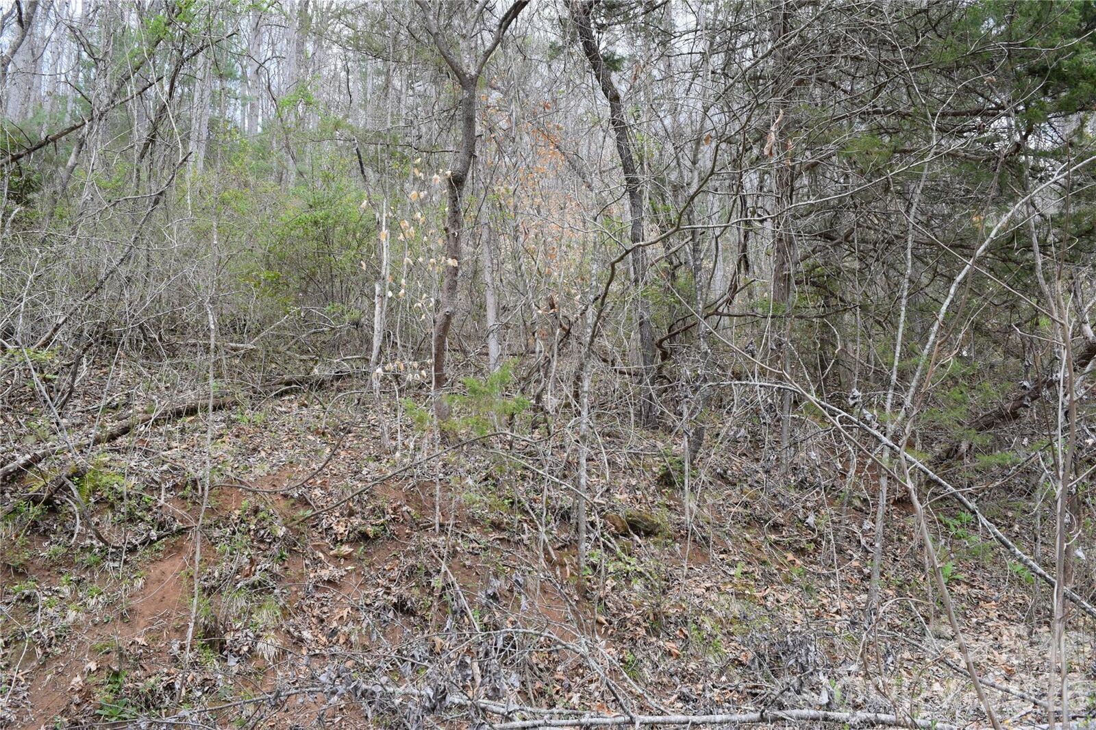 Property Photo: Tbd Bel Air Road 20 NC 28723