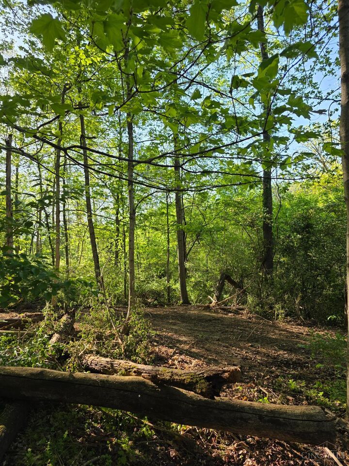 Property Photo:  11965 Stone Mill Road  OH 45251 