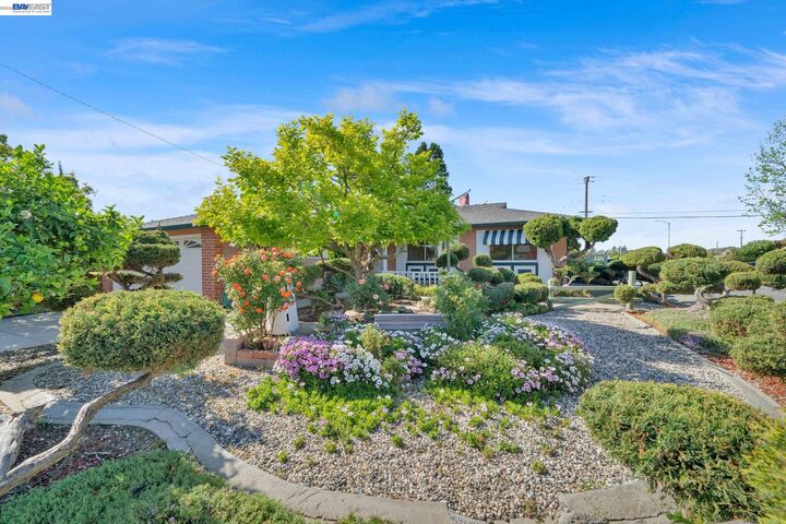 Property Photo:  4601 Joanna Ct  CA 94536 