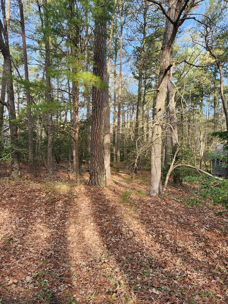 Property Photo:  0 Spinnaker St  VA 23356 