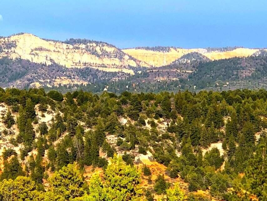 Property Photo:  5.02 Acres Francis St  UT 84762 