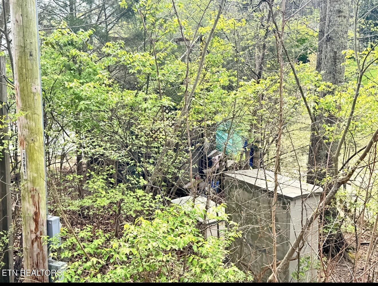 Property Photo:  8833 Cove Point Lane  TN 37922 