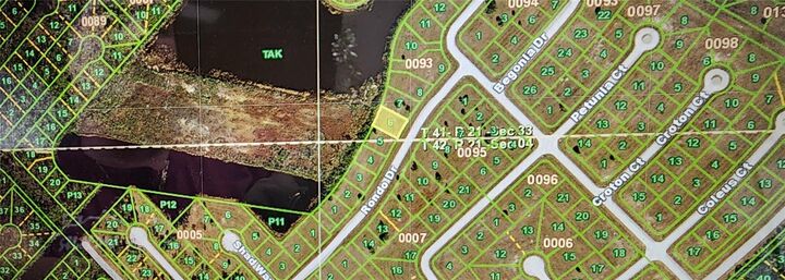 Property Photo:  11983 Rondo Drive  FL 33946 