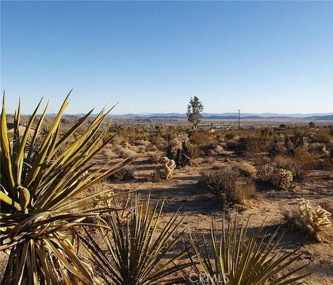 Property Photo:  7275 Saddleback  CA 92252 