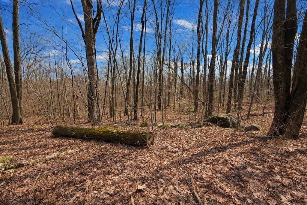 Property Photo:  134 Nash Hill Rd  MA 01096 