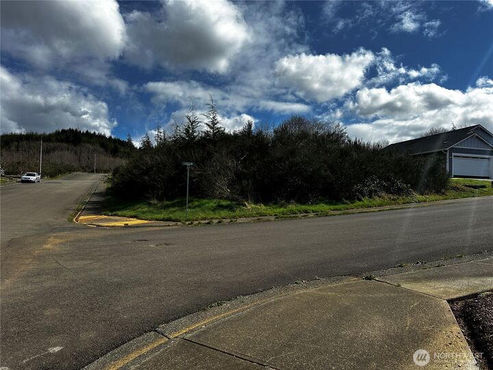 Property Photo:  0  Curlew Court  WA 98550 