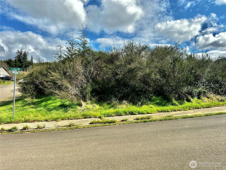 Property Photo:  0  Curlew Court  WA 98550 