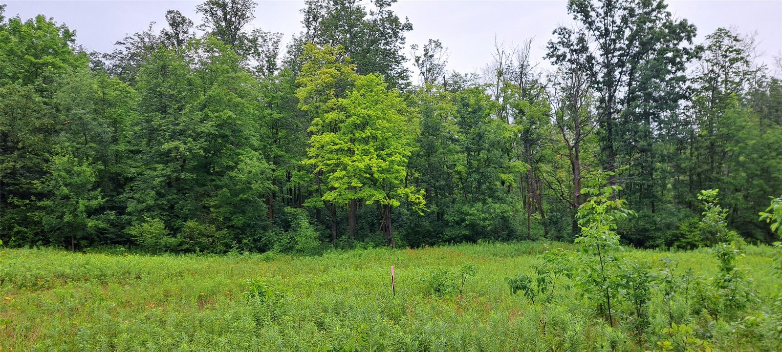 Property Photo:  Lot 3 Musky Point Drive  WI 54876 