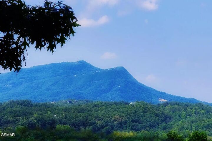 Property Photo:  270 Moose Ridge Way Way  TN 37863 