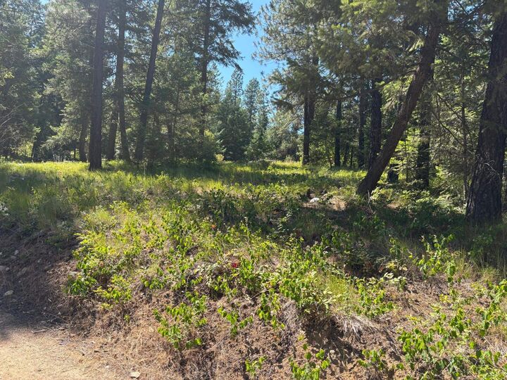 Property Photo:  34711 N Waldrons Ln 49311.9012  WA 99003 