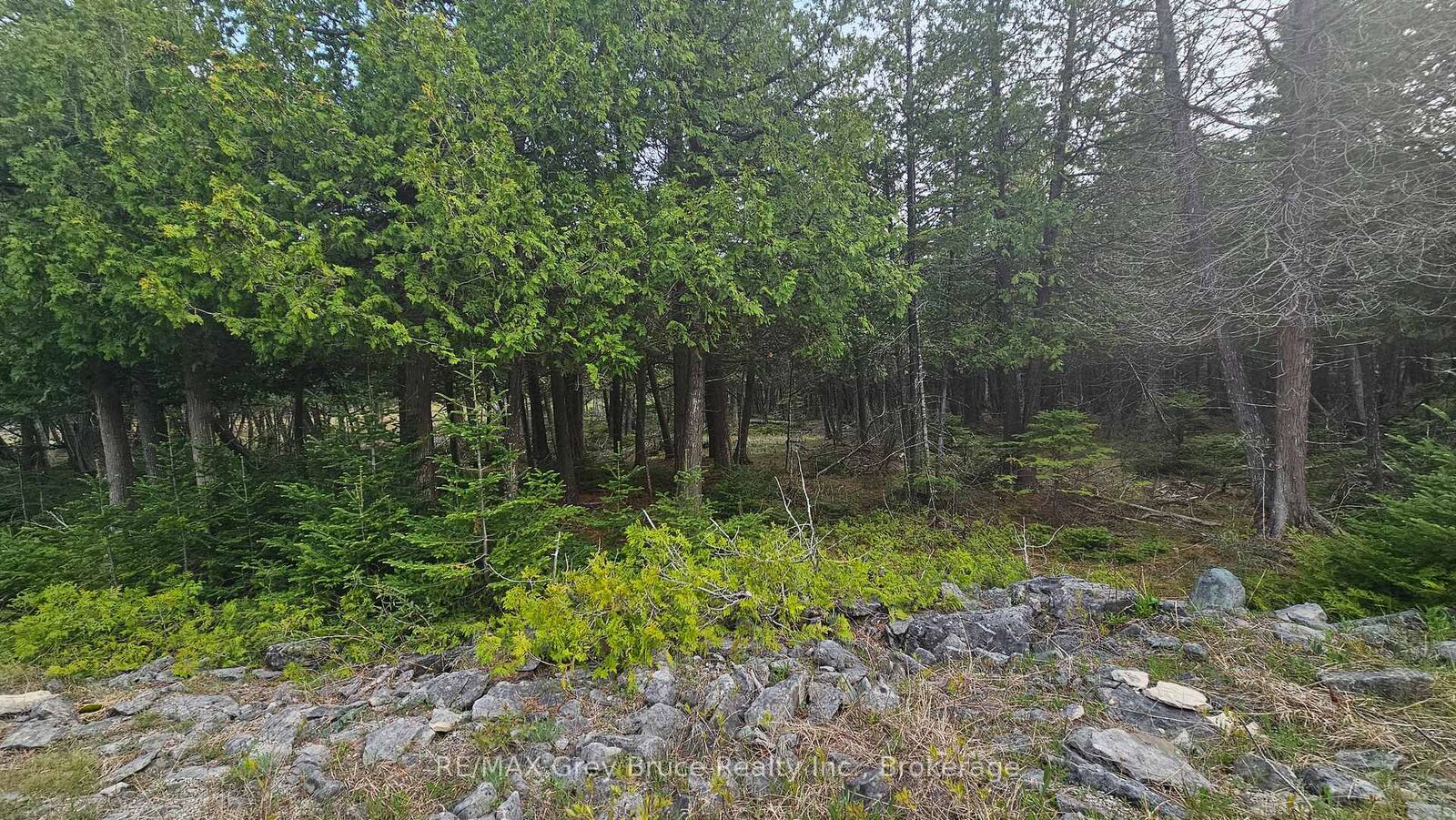 Property Photo:  Lt 254 Dorcas Bay Road  ON N0H 2R0 