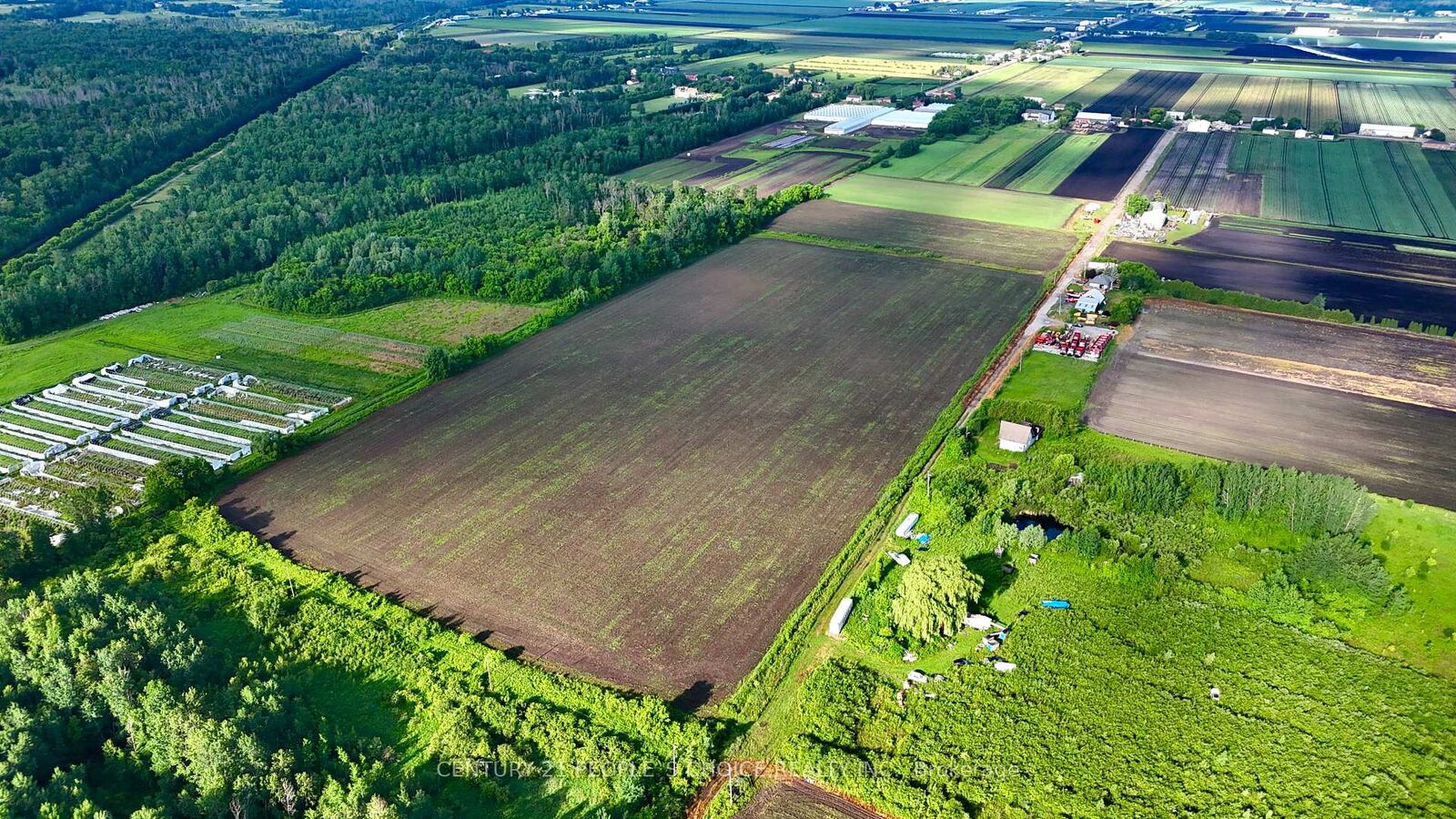 Photo de la propriété:  325 Lipchey Road  ON L3Y 4V9 