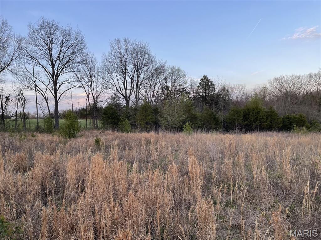 Property Photo: 263 Jordan Ridge Drive MO 63068