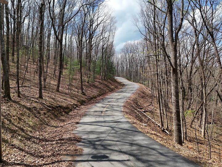 Property Photo:  L129/124 Laurel Crossing  GA 30513 