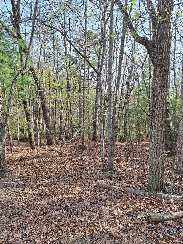 Property Photo:  Lot 22 Mull Lane Cir, Lt 22  GA 30560 