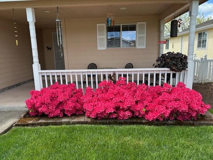 Property Photo:  252 Jena Court # 1  OR 97502 