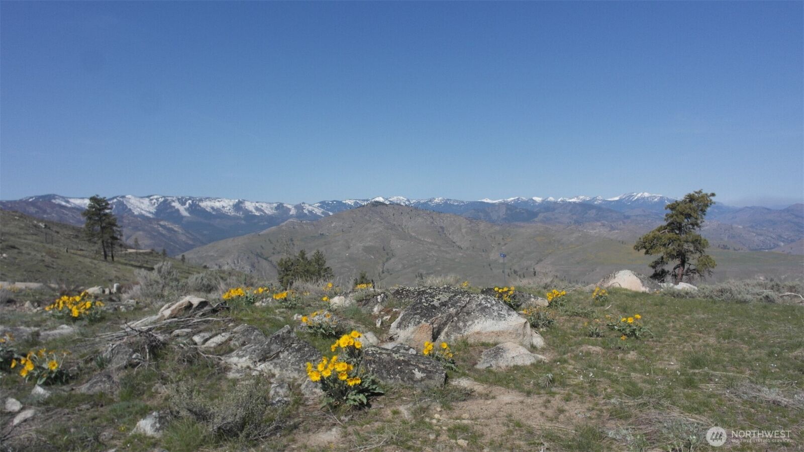 Property Photo: 31 Cowboy Road WA 98834