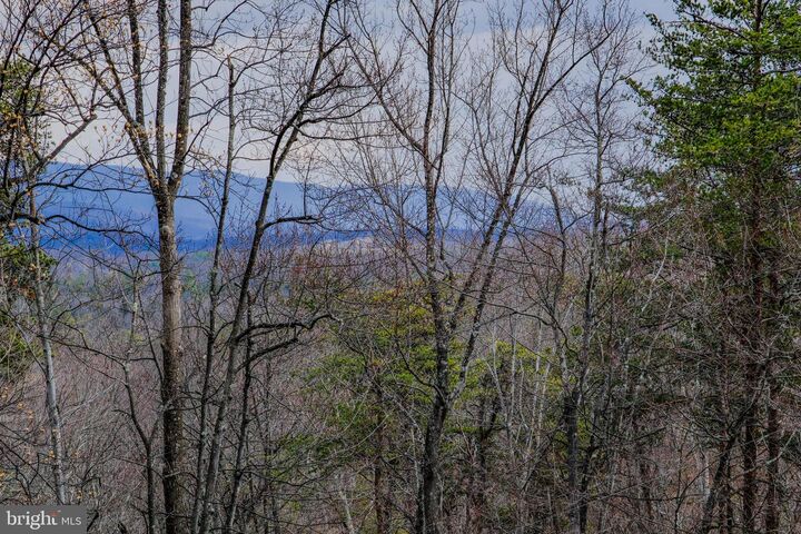 Property Photo:  642 Paddys Run Road  VA 22654 