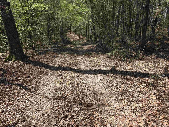 Property Photo:  Tbd Shawmut Road  AR 71958 