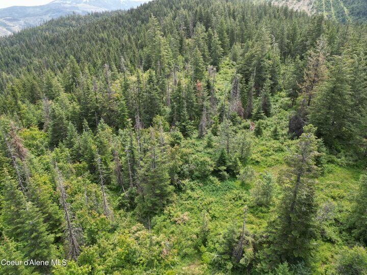 Property Photo:  Nka Initial Peak Rd  ID 83810 