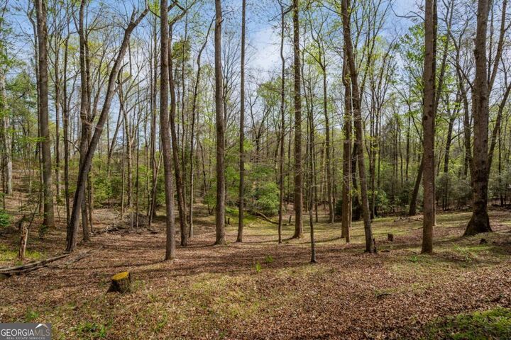 Property Photo:  159 Pack Creek Road  GA 30513 