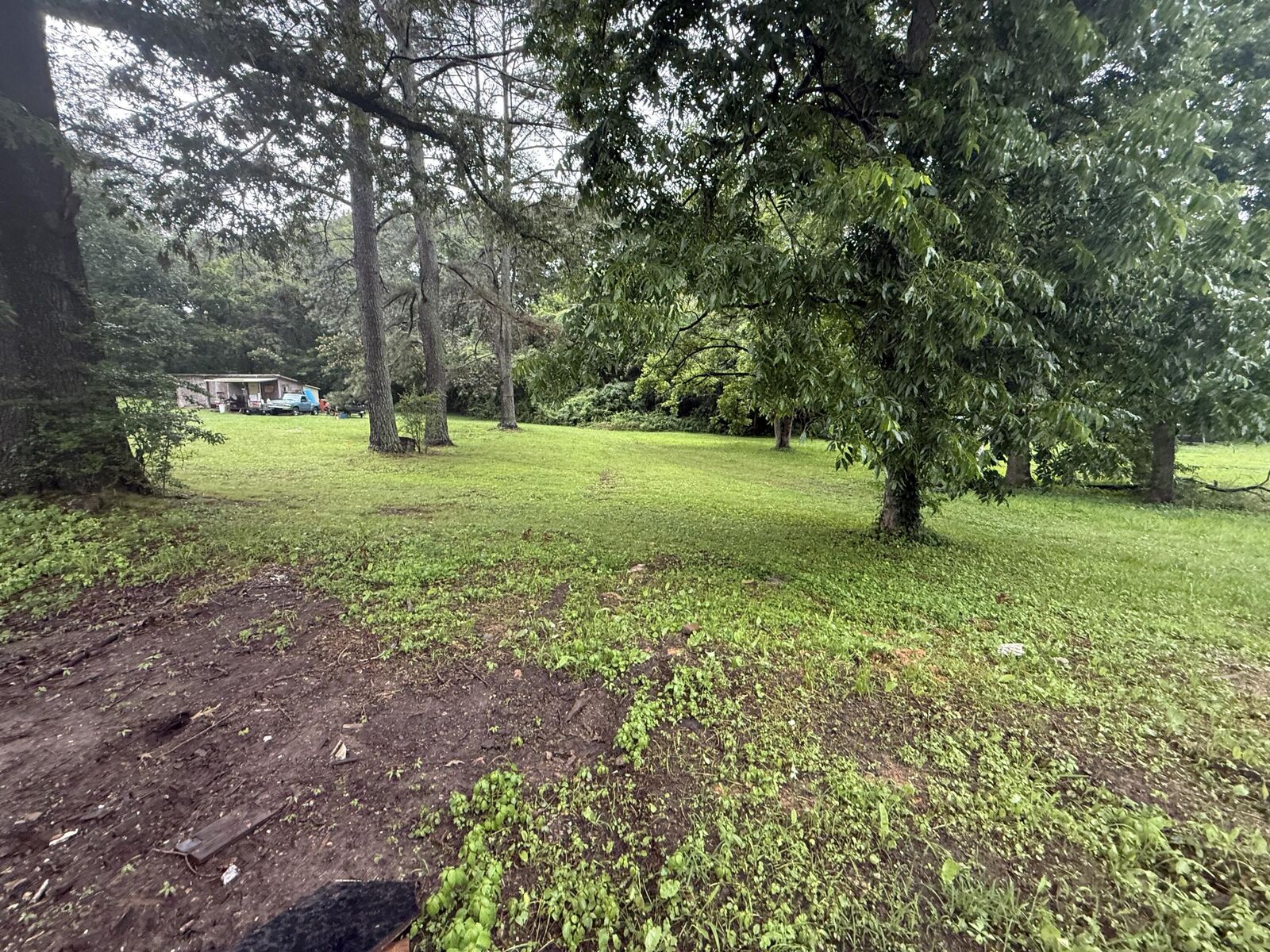 Property Photo:  0 Diamond Avenue  AL 35740 