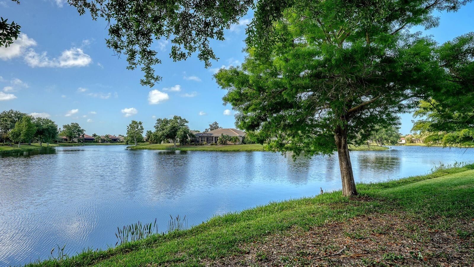 Property Photo:  1348 Thornapple Drive  FL 34229 