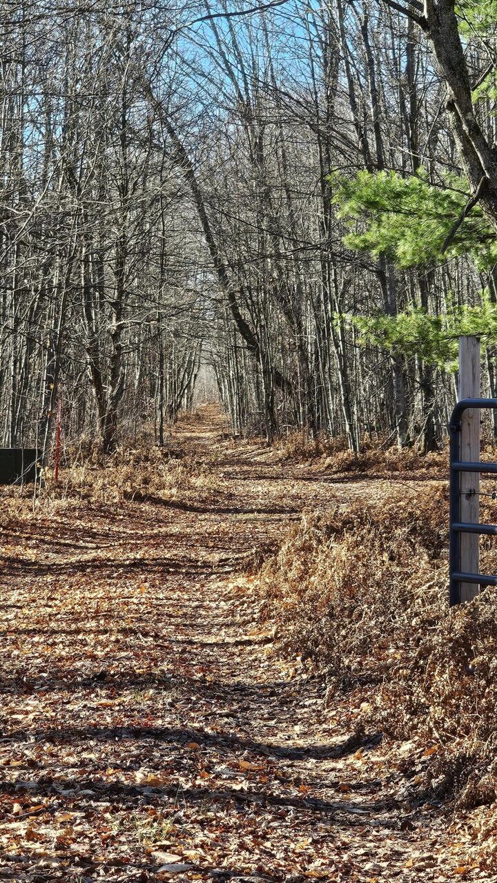 Property Photo:  1621 Baker Road NE  MI 49646 