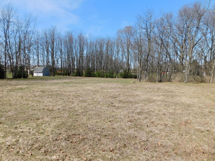 Property Photo:  0 Twenty-Sixth Street  MI 49660 